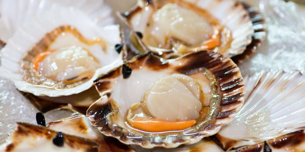image for French Recipe for Coquilles St. Jacques