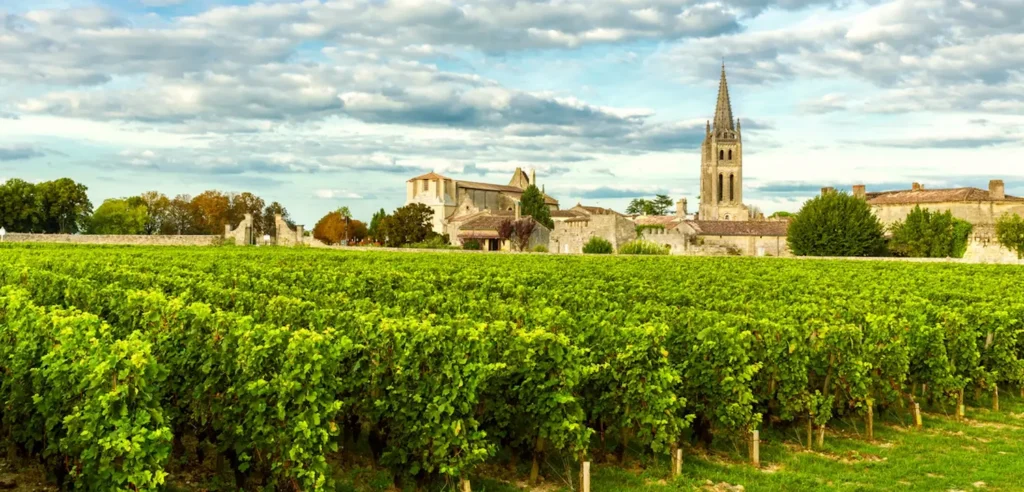 Image forFrance Wine Tours