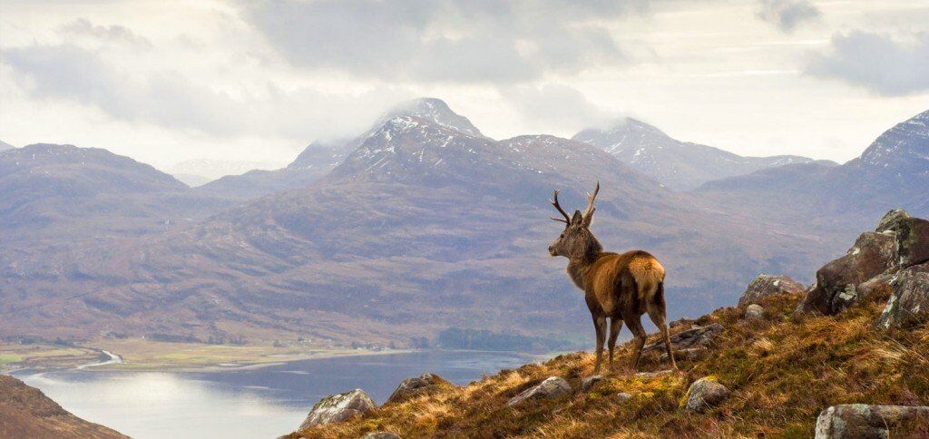 Image forUnited Kingdom