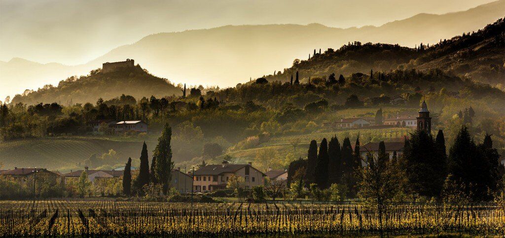 Image for Wine Lover’s Italy – A Guide to Veneto Wines
