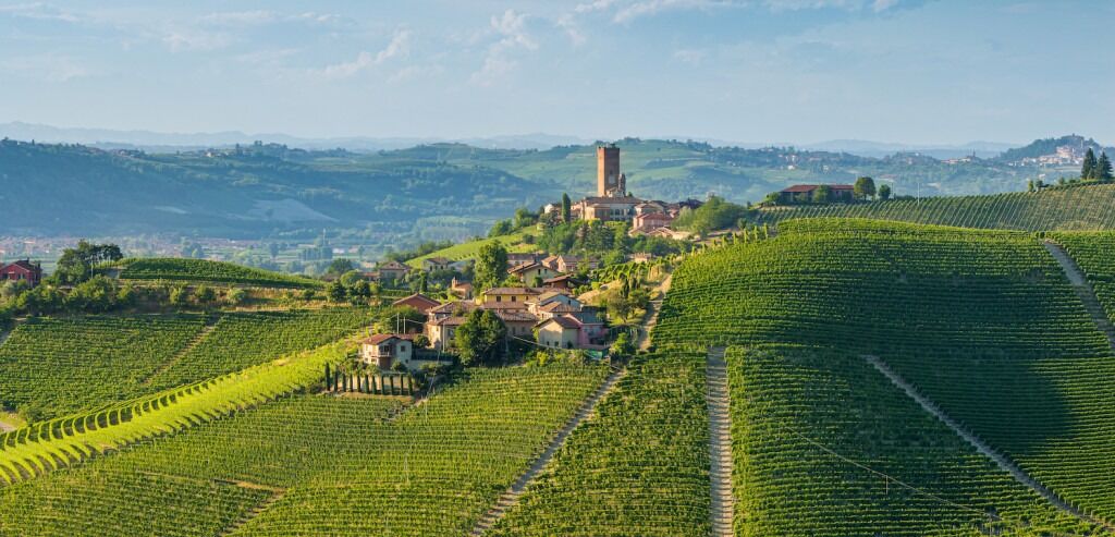 Image forItaly Wine Tours