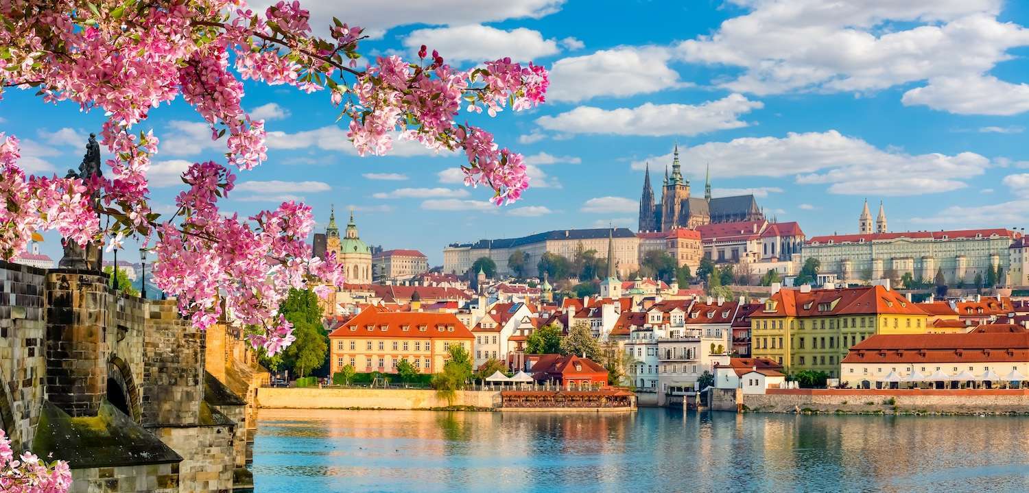 image for Bohemia and Prague Food Tour